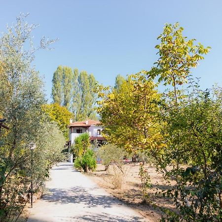 Diamond Farm Villa Καλά Νερά Εξωτερικό φωτογραφία