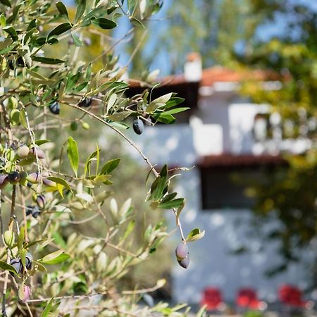 Diamond Farm Villa Καλά Νερά Εξωτερικό φωτογραφία